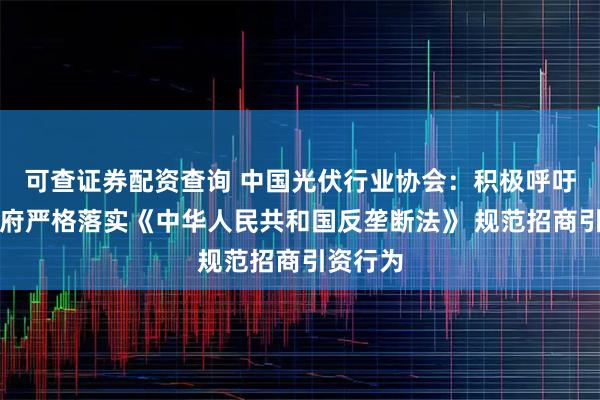 可查证券配资查询 中国光伏行业协会：积极呼吁地方政府严格落实《中华人民共和国反垄断法》 规范招商引资行为