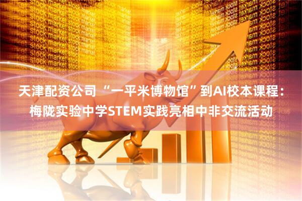 天津配资公司 “一平米博物馆”到AI校本课程：梅陇实验中学STEM实践亮相中非交流活动
